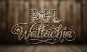 PGL Wallachia Season 8: как Tundra Esports и Yandex вылетели с крупнейшего весеннего LAN-турнира по Dota 2